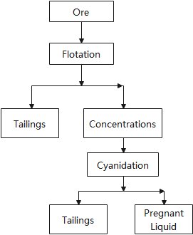 Flotation-Cyanidation Treatment.png