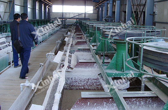fluorite-flotation.jpg fluorite-flotation.jpg